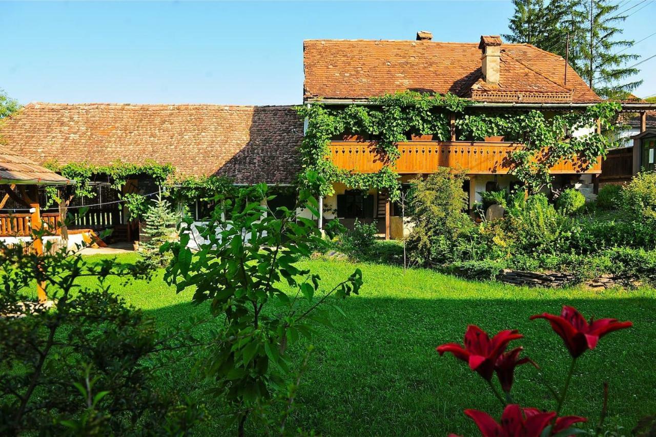 Transylvanian Country House Vetca Экстерьер фото