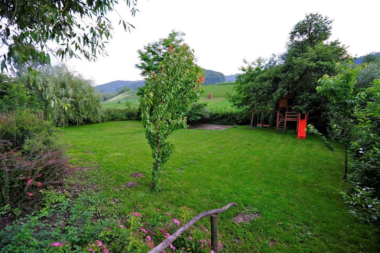 Transylvanian Country House Vetca Экстерьер фото